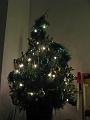 Imme 13 december 2008 (1) kerstboom